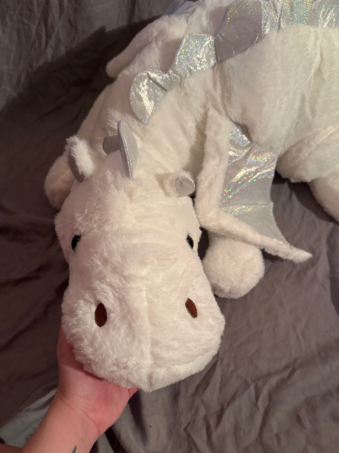 B-Grade Jumbo Dragon - Cloudstorm the Dreamer - Ready to Ship