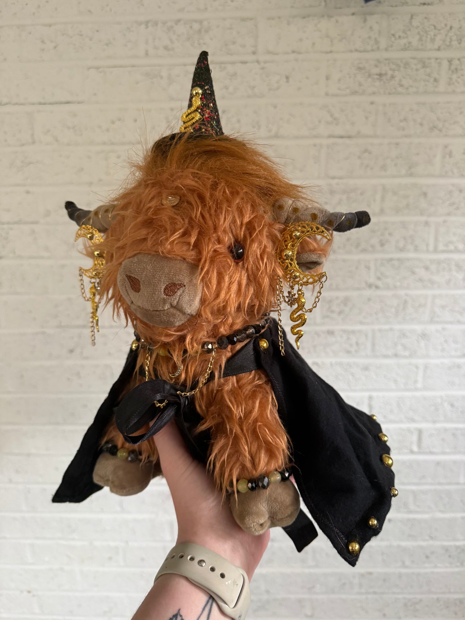 Witch and Wizard Cows