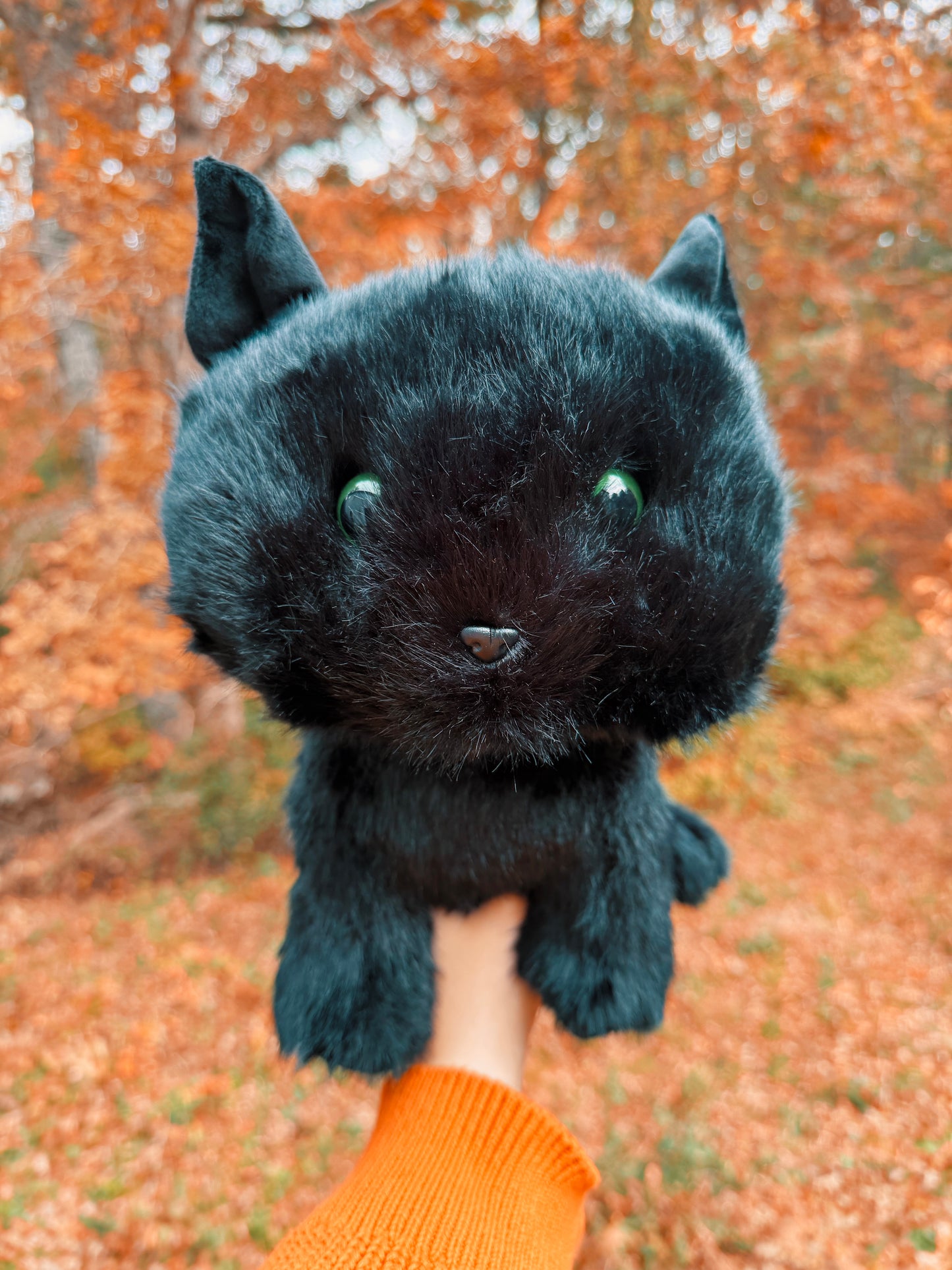 Boo the Black Cat Familiar Plushie