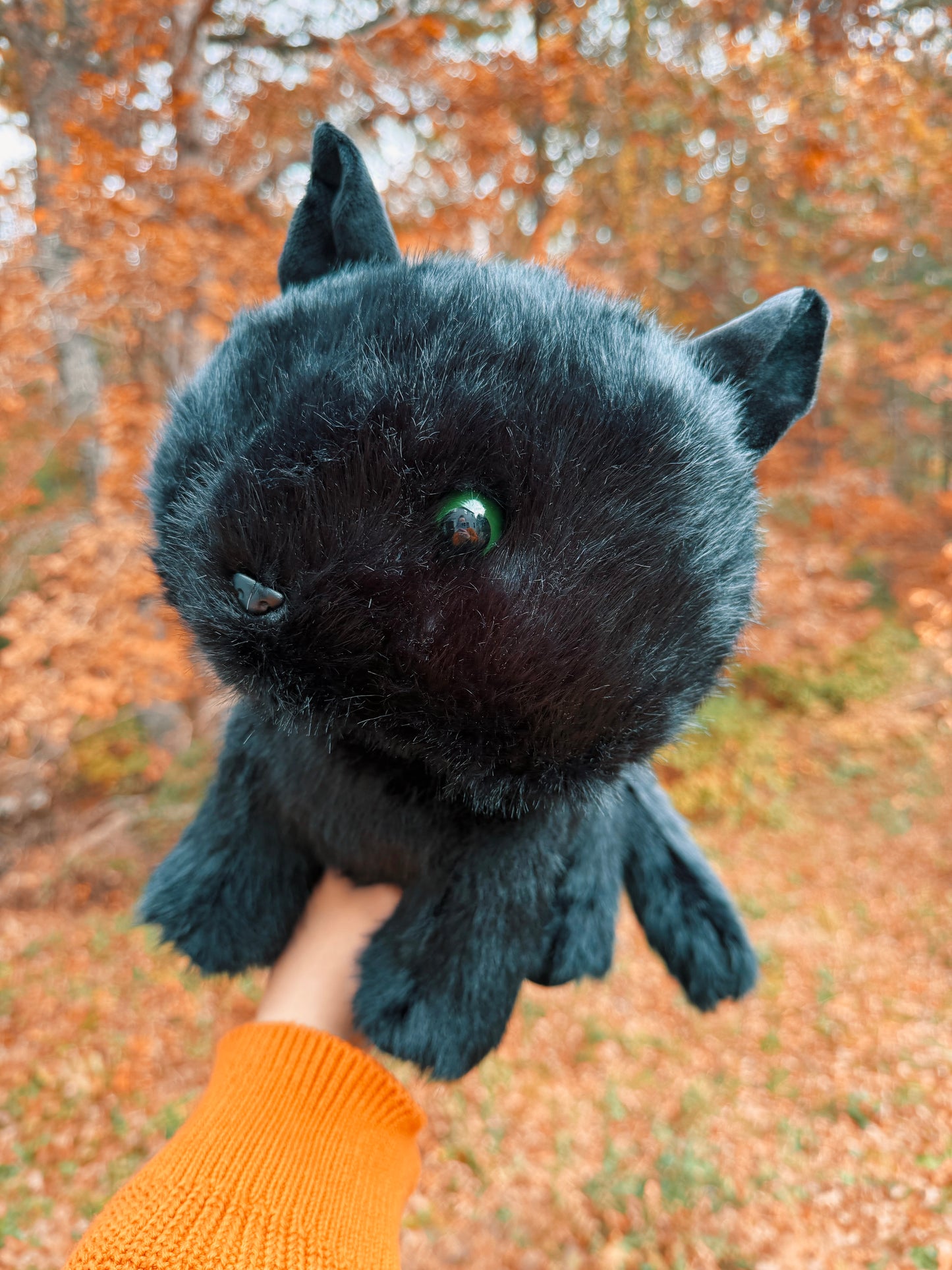Boo the Black Cat Familiar Plushie