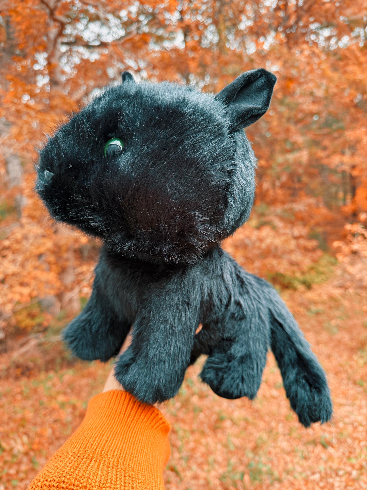Boo the Black Cat Familiar Plushie