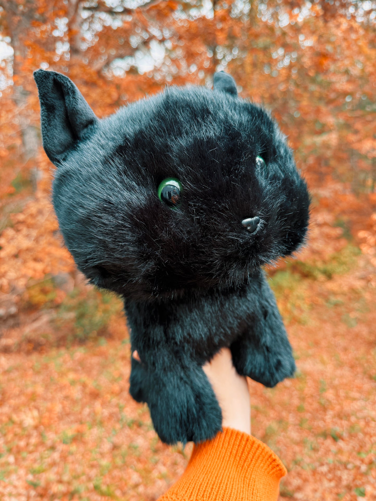 Boo the Black Cat Familiar Plushie