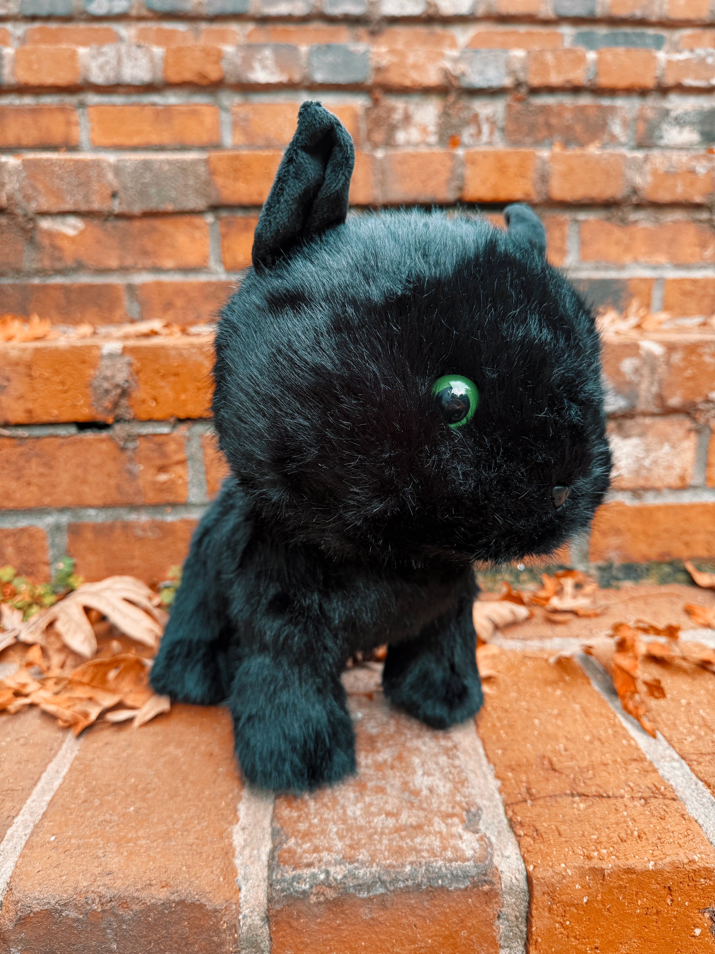 Boo the Black Cat Familiar Plushie