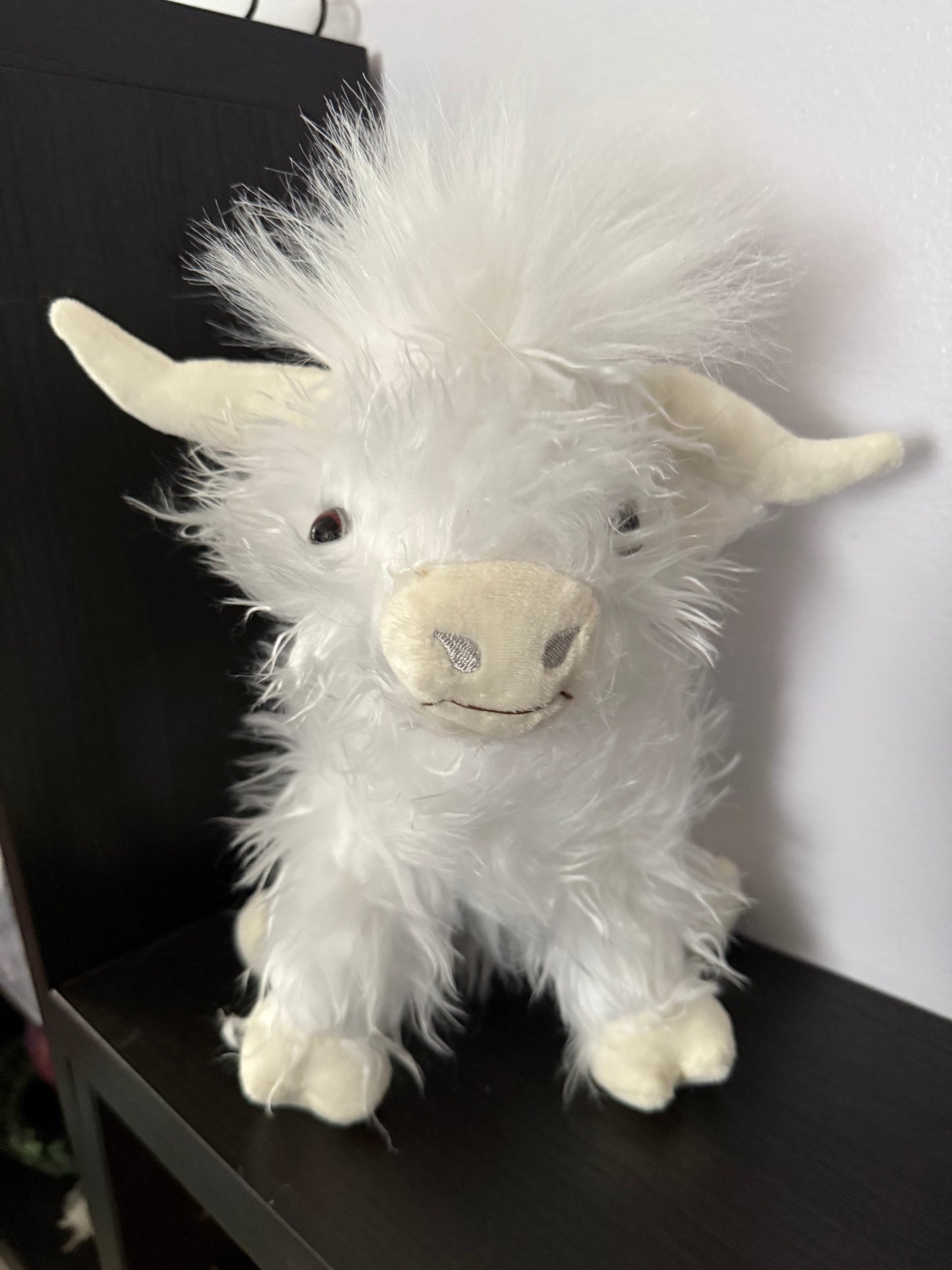 Medium-Sized Mystery Box