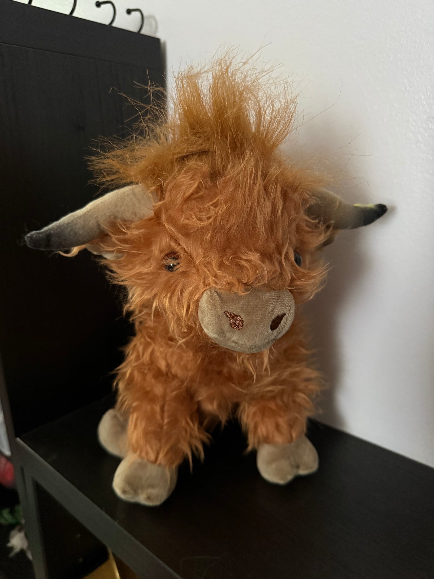 Medium-Sized Mystery Box