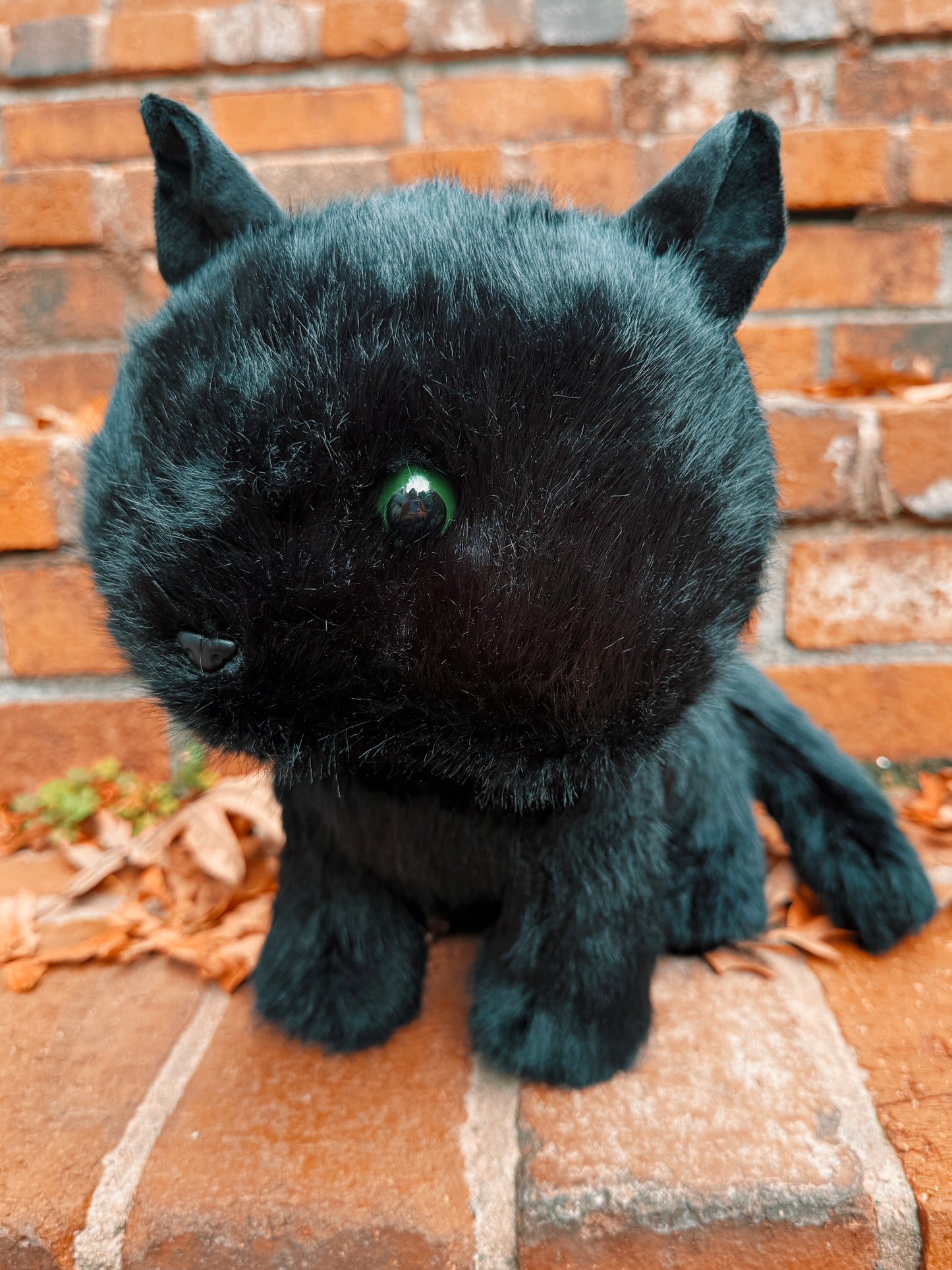 Boo the Black Cat Familiar Plushie