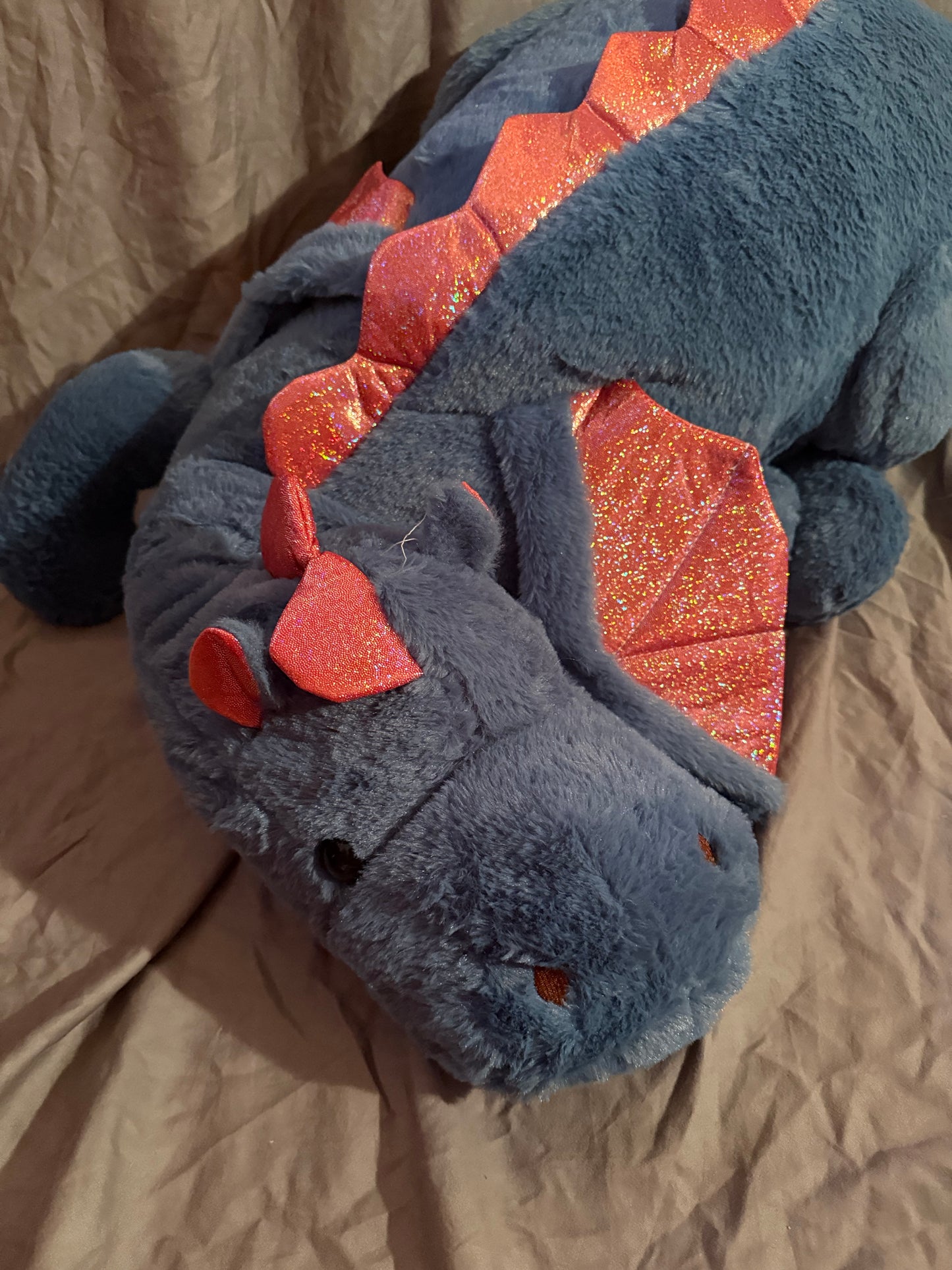 B-Grade Jumbo Dragon - Rory the Honest - Ready to Ship