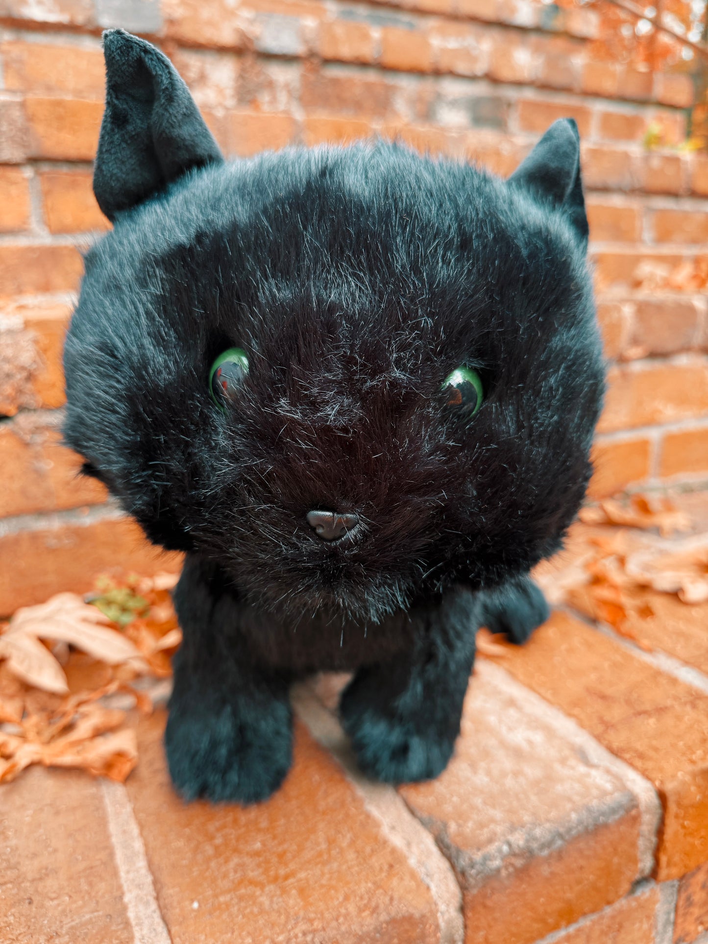 Boo the Black Cat Familiar Plushie