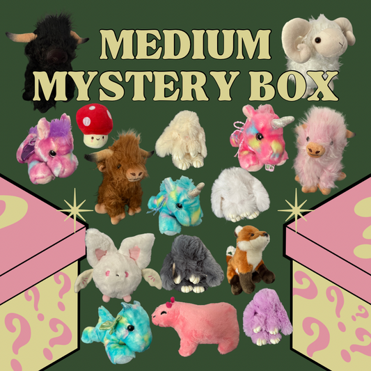 Medium-Sized Mystery Box