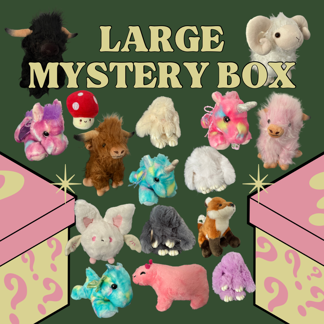 Large-Sized Mystery Box